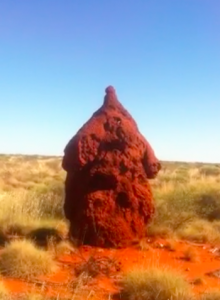 termite mound